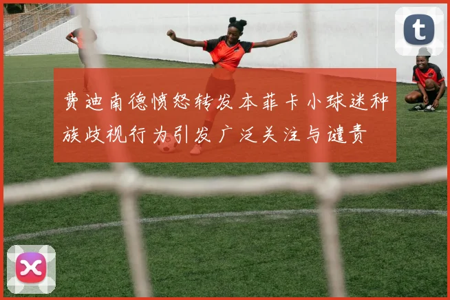 费迪南德愤怒转发本菲卡小球迷种族歧视行为引发广泛关注与谴责