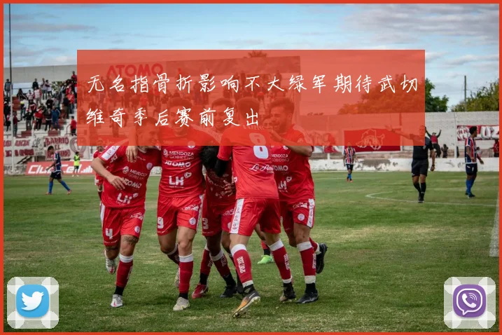 无名指骨折影响不大绿军期待武切维奇季后赛前复出