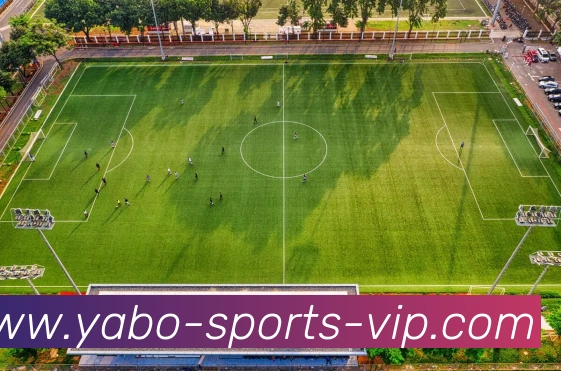 多媒体互动体验